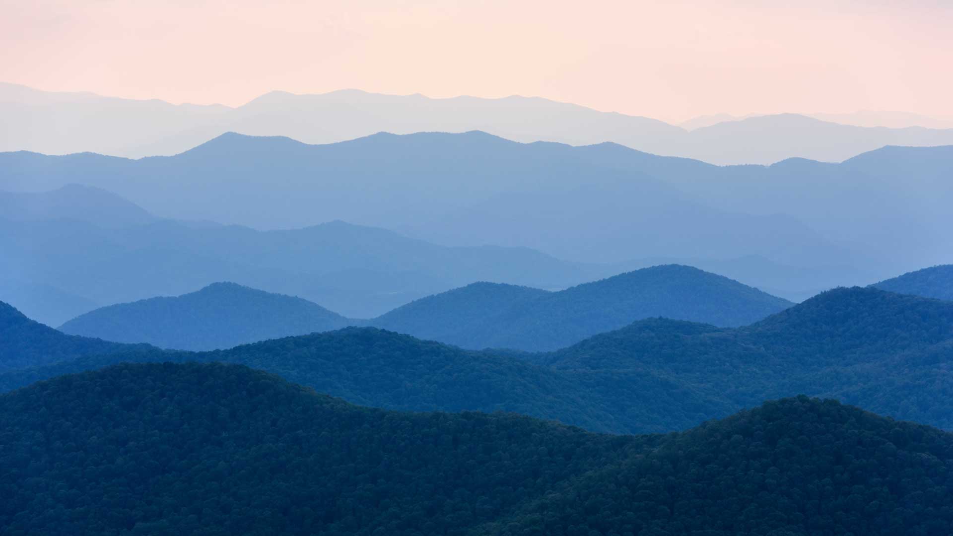 sycamore-cycles-pisgah-hendersonville.jpg