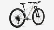 ROCKHOPPER EXPERT SILDST/BNTGLDMET XXL - 29 PEACHTREE-BIKES-BIKE-SHOP-NEAR-ME