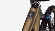 LEVO EXPERT CARBON G4 BNTGLDMET/DOP S6 MOUNTAIN BIKE