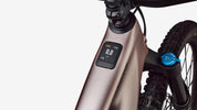 LEVO COMP CARBON G4 CHAM/METOBSD S6 MOUNTAIN BIKE