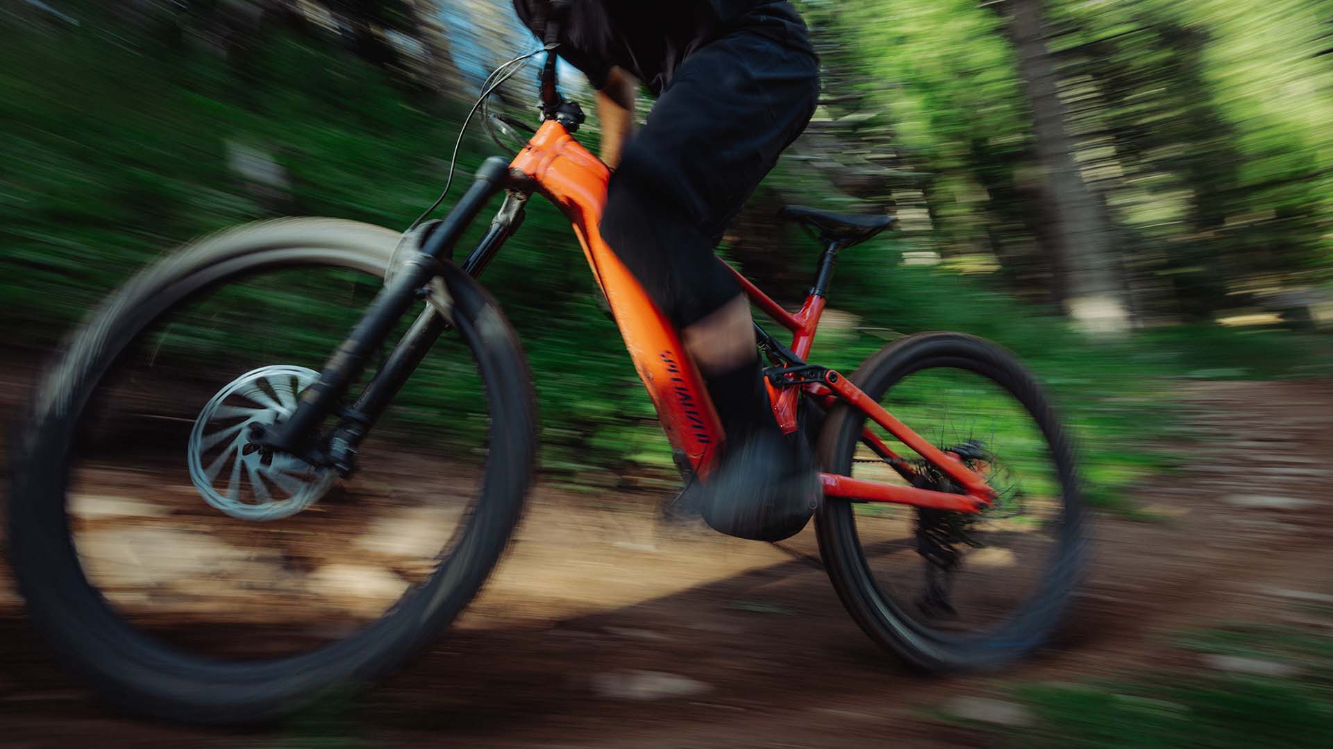 Specialized レーサーパンツ ブラック/グリーン　レディースMサイズ Specialized Pants | Sycamore Cycles | Pisgah's #1 Local