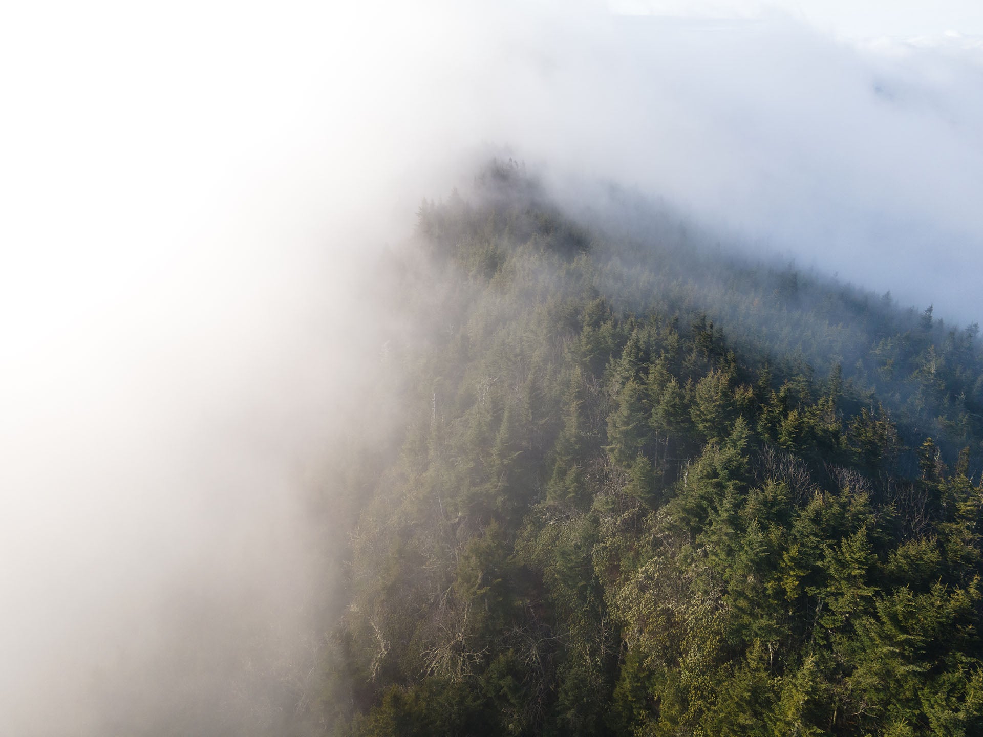 sycamore_cycles_brevard_pisgah_kanuga.jpg